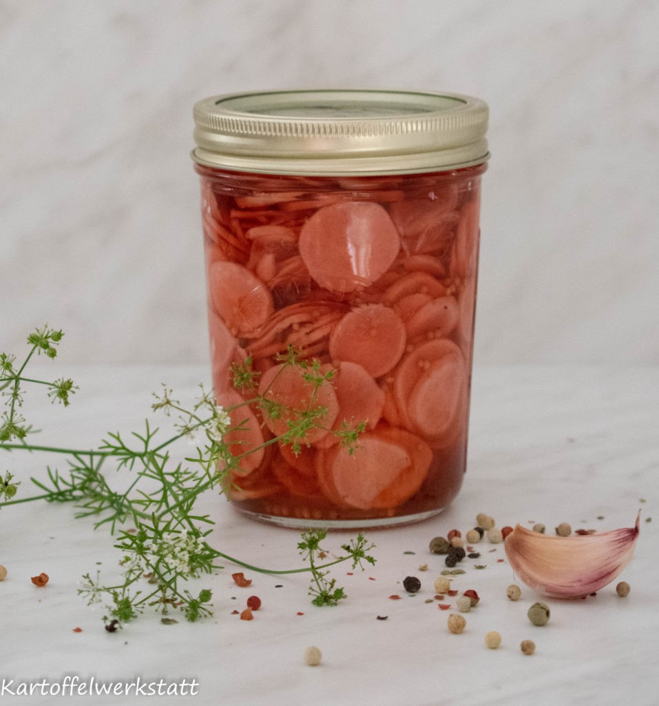 Fermentieren Teil I - Die 10 Wichtigsten Fragen 3 Eingelegte Radieschen