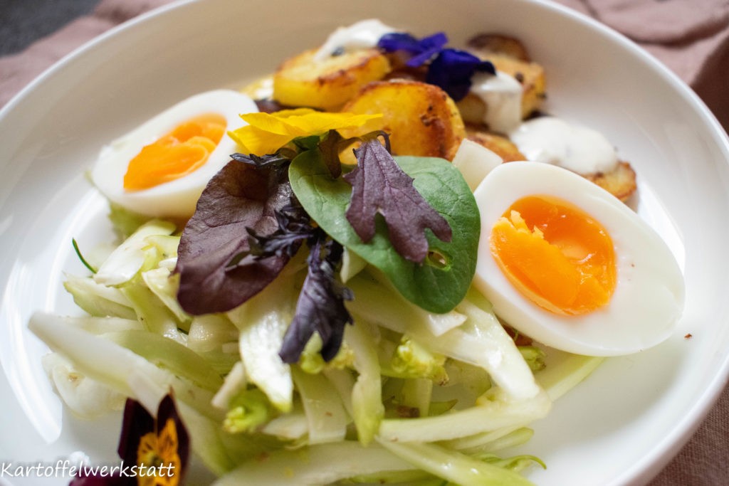 Frühling, Salat vom Vulkanspargel / Puntarellesalat