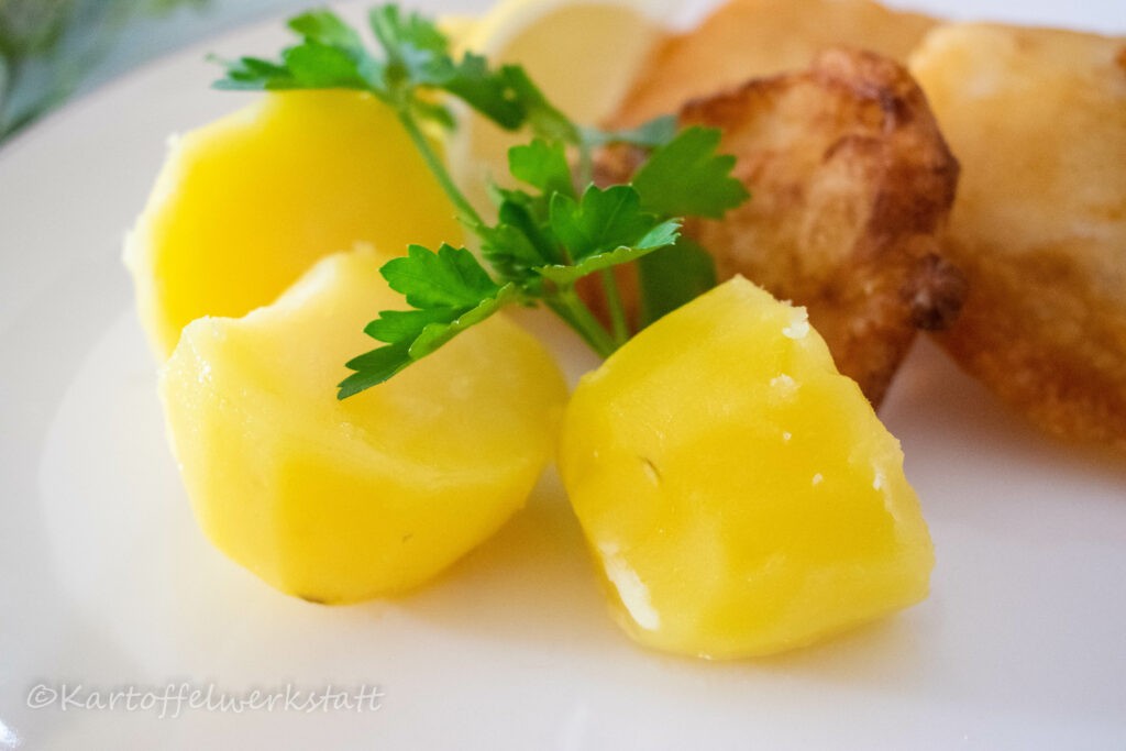 MAISCHOLLE IN BIERTEIG GEBACKEN & BUTTERKARTOFFELN 3 Butterkartoffeln