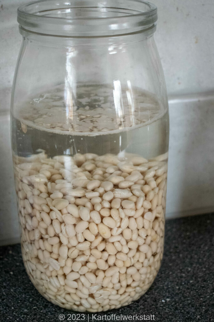 GEBACKENER KARTOFFEL-BOHNENTOPF - Kartoffelwerkstatt GEBACKENER KARTOFFEL-BOHNENTOPF - Kartoffelwerkstatt